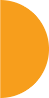 Vector